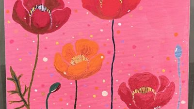 Poppy in early summer