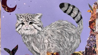 真夜中のお散歩